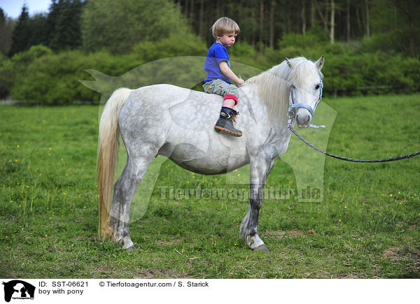 Junge sitzt auf Welsh Pony / boy with pony / SST-06621