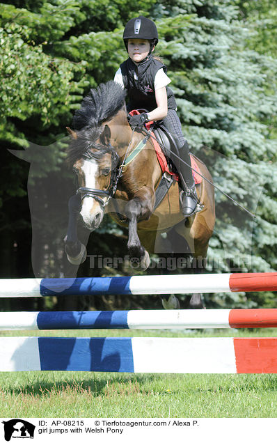 girl jumps with Welsh Pony / AP-08215