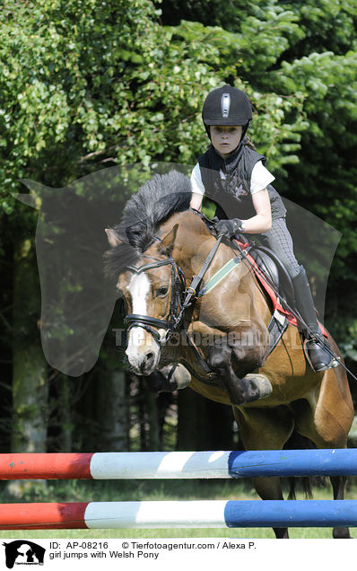 Mdchen springt mit Welsh Pony / girl jumps with Welsh Pony / AP-08216