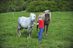 boy with ponys