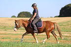 woman rides Welsh Pony