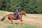 woman rides Welsh Pony