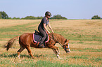 woman rides Welsh Pony