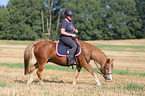 woman rides Welsh Pony