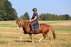 woman rides Welsh Pony