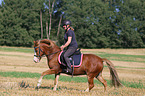 woman rides Welsh Pony