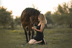 Welsh Pony