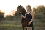 Welsh Pony