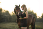 Welsh Pony