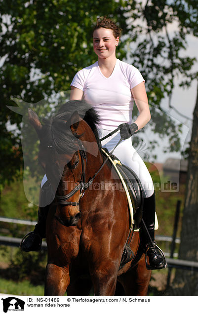 Frau reitet Westfale / woman rides horse / NS-01489