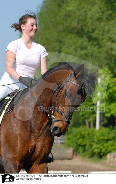 Frau reitet Westfale / woman rides horse / NS-01494