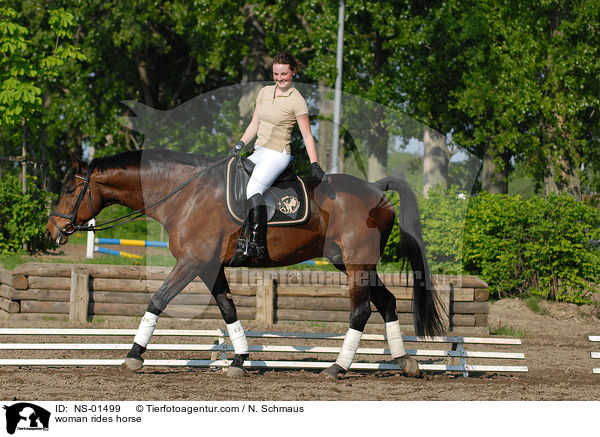 Frau reitet Westfale / woman rides horse / NS-01499