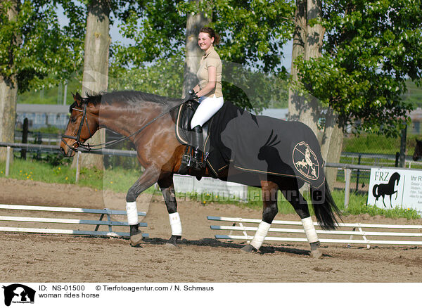 Frau reitet Westfale / woman rides horse / NS-01500