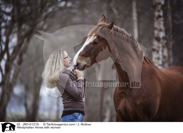 Westfale  mit Frau / Westphalian Horse with woman / JRO-01219