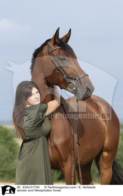 Frau und Westfale / woman and Westphalian horse / EHO-01740