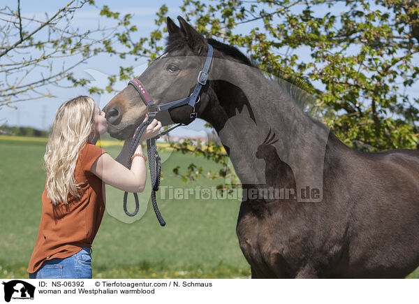 Frau und Westfale / woman and Westphalian warmblood / NS-06392