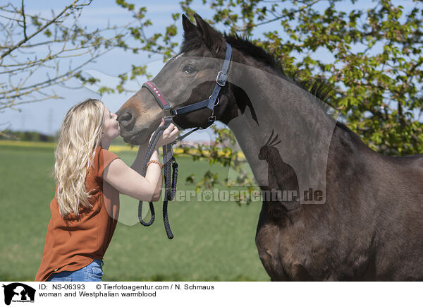 Frau und Westfale / woman and Westphalian warmblood / NS-06393