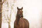 Westphalian