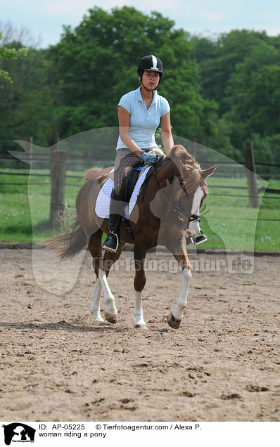 Dressur mit Westflischem Reitpony / woman riding a pony / AP-05225