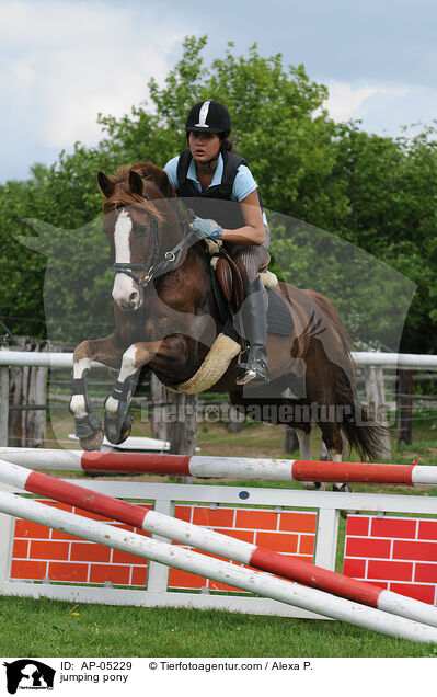 jumping pony / AP-05229