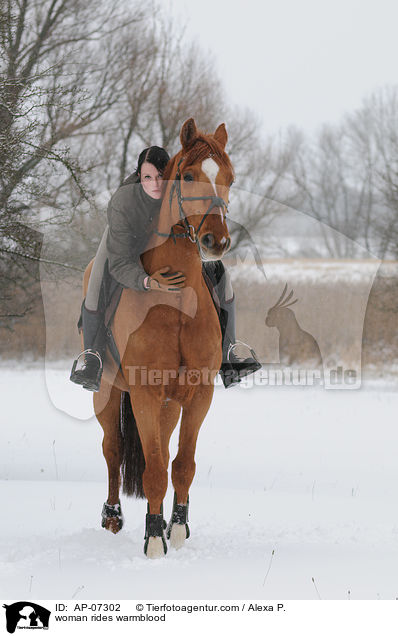 woman rides warmblood / AP-07302