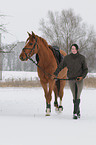 woman and warmblood