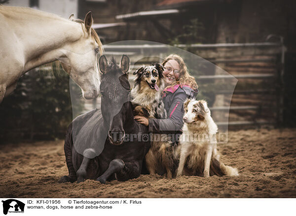 woman, dogs, horse and zebra-horse / KFI-01956