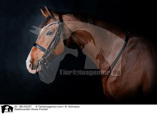 Zweibruecker Horse Portrait / NS-05297