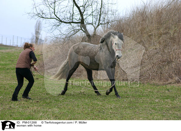Pferd beim Training vom Boden aus / woman with horse / PM-01288