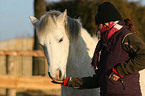 feeding a horse