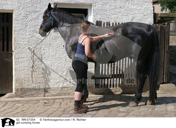 Mdchen striegelt Pferd / girl currying horse / RR-07354