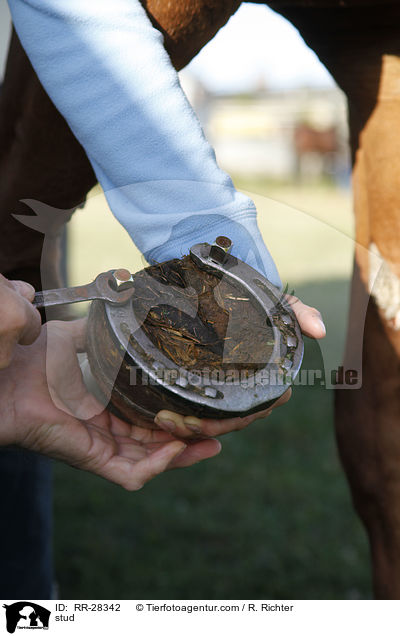 Schraubstollen anbringen / stud / RR-28342