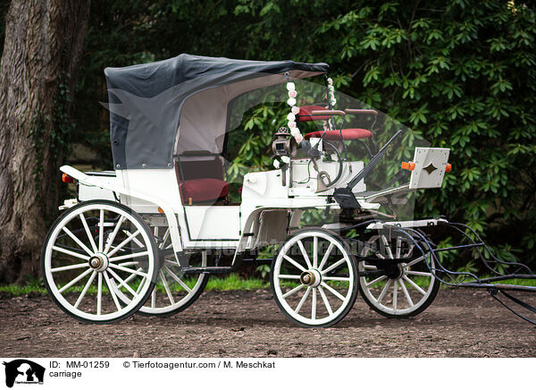 Kutsche / carriage / MM-01259