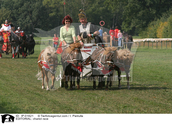 REDAKTIONELL: Wagenrennen / EDITORIAL: chariot race / IP-01621