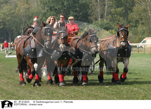 REDAKTIONELL: Wagenrennen / EDITORIAL: chariot race / IP-01623