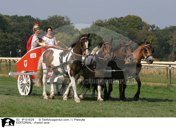 REDAKTIONELL: Wagenrennen / EDITORIAL: chariot race / IP-01626