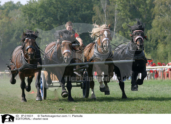 EDITORIAL: chariot race / IP-01631