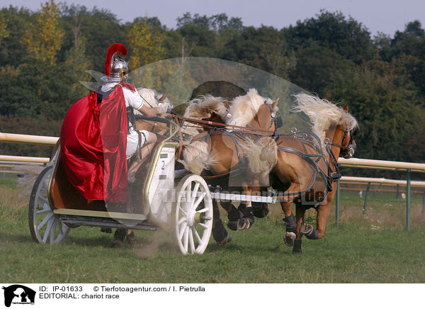 REDAKTIONELL: Wagenrennen / EDITORIAL: chariot race / IP-01633