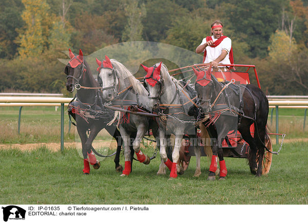 REDAKTIONELL: Wagenrennen / EDITORIAL: chariot race / IP-01635