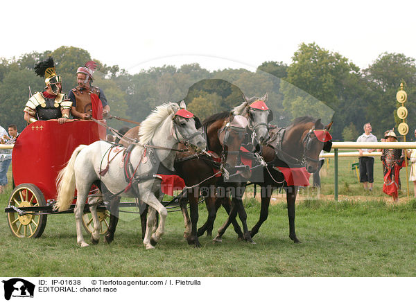 REDAKTIONELL: Wagenrennen / EDITORIAL: chariot race / IP-01638