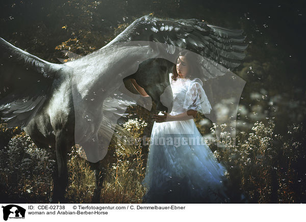 Frau und Araber-Berber / woman and Arabian-Berber-Horse / CDE-02738