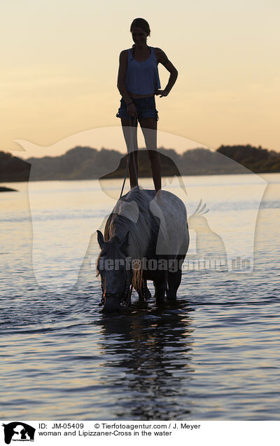 woman and Lipizzaner-Cross in the water / JM-05409