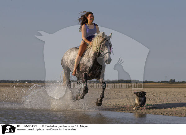 woman and Lipizzaner-Cross in the water / JM-05422