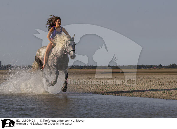 Frau und Lipizzaner-Mix im Wasser / woman and Lipizzaner-Cross in the water / JM-05424