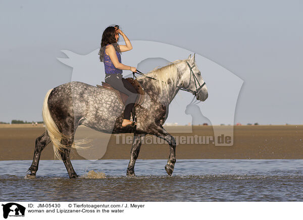 Frau und Lipizzaner-Mix im Wasser / woman and Lipizzaner-Cross in the water / JM-05430