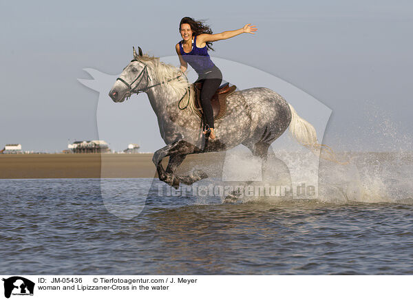 Frau und Lipizzaner-Mix im Wasser / woman and Lipizzaner-Cross in the water / JM-05436