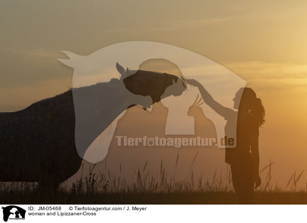 woman and Lipizzaner-Cross / JM-05468