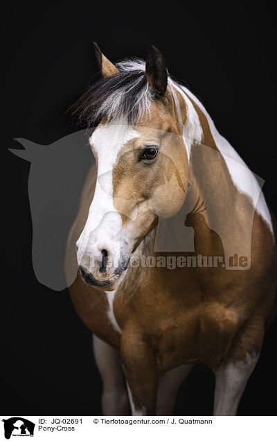 Pony-Mix / Pony-Cross / JQ-02691