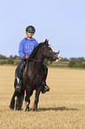 girl rides Tinker-Cross