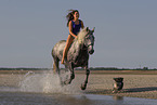 woman and Lipizzaner-Cross in the water